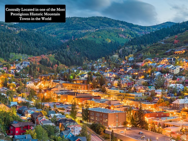 336 Daly Ave Unit A, Park City, UT 84060