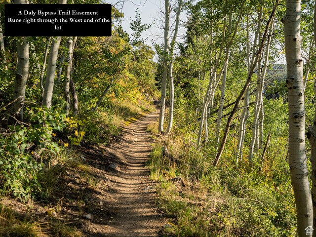 336 Daly Ave Unit A, Park City, UT 84060