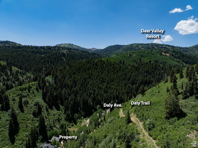 336 Daly Ave Unit A, Park City, UT 84060