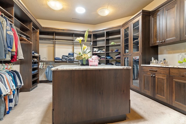2596 E Flint St, St George, UT 84790 - spacious closet with light carpet