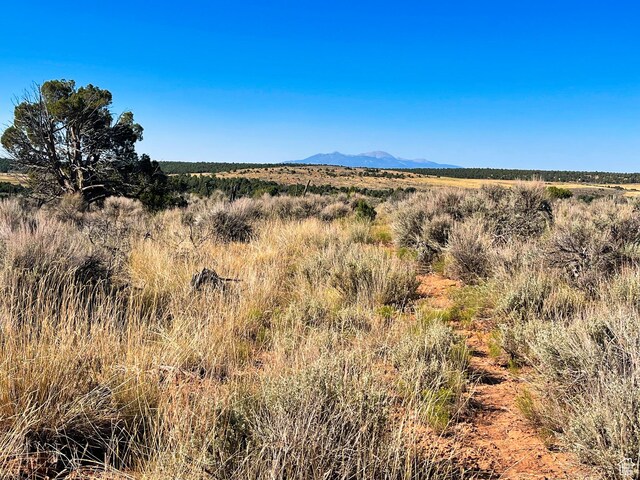 1 Sturgeon Rd, Monticello, UT 84535 - photo 11