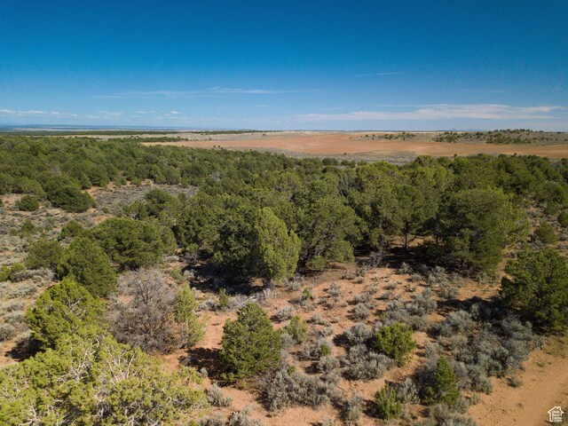 1 Sturgeon Rd, Monticello, UT 84535 - photo 3