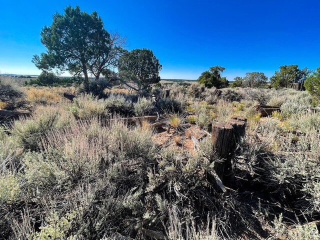 1 Sturgeon Rd, Monticello, UT 84535 - photo 13