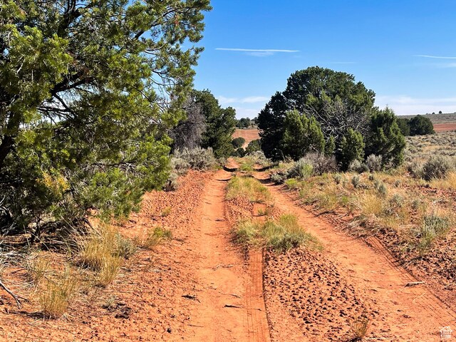 1 Sturgeon Rd, Monticello, UT 84535 - photo 17