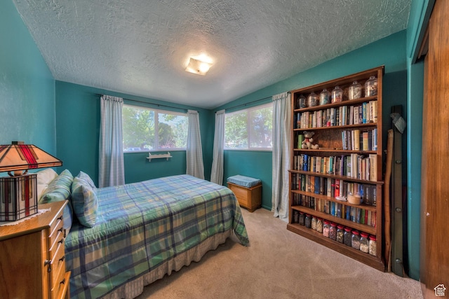 343 S Tusher St, Moab, UT 84532 - bedroom featuring vaulted ceiling, light carpet, and a textured ceiling