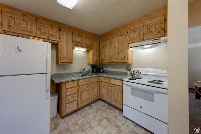 343 S Tusher St, Moab, UT 84532 - kitchen featuring white appliances, a textured ceiling, under cabinet range hood, light countertops, and a sink