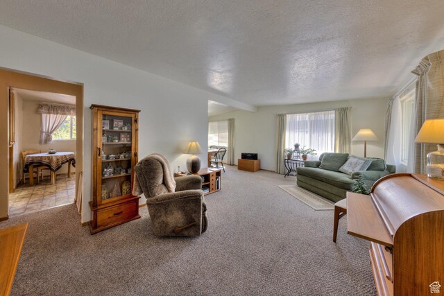 343 S Tusher St, Moab, UT 84532 - living area with carpet floors, a wealth of natural light, and vaulted ceiling