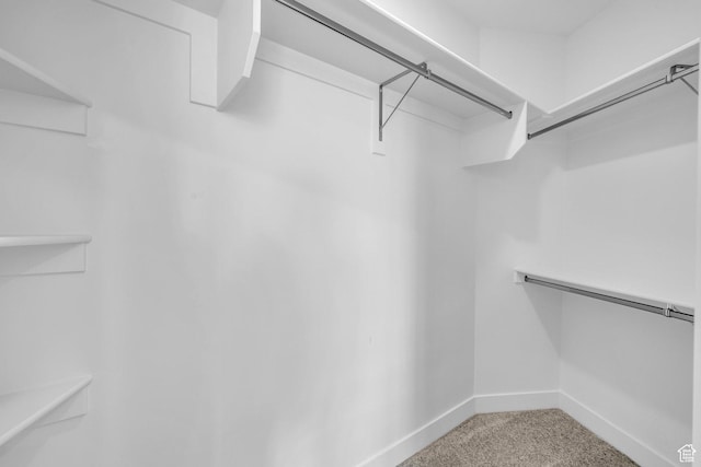spacious closet with carpet