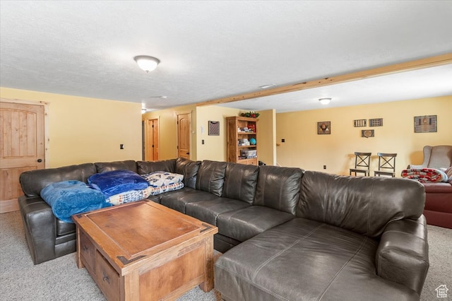 14775 N 12565 E 66&67, Mount Pleasant, UT 84647 - living area with light carpet and a textured ceiling