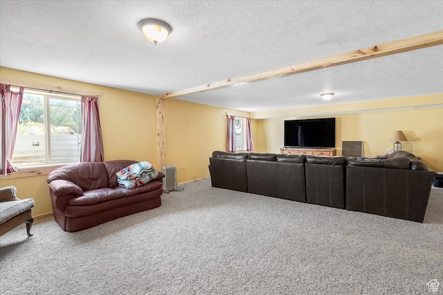 14775 N 12565 E 66&67, Mount Pleasant, UT 84647 - living area with radiator, a textured ceiling, and carpet floors