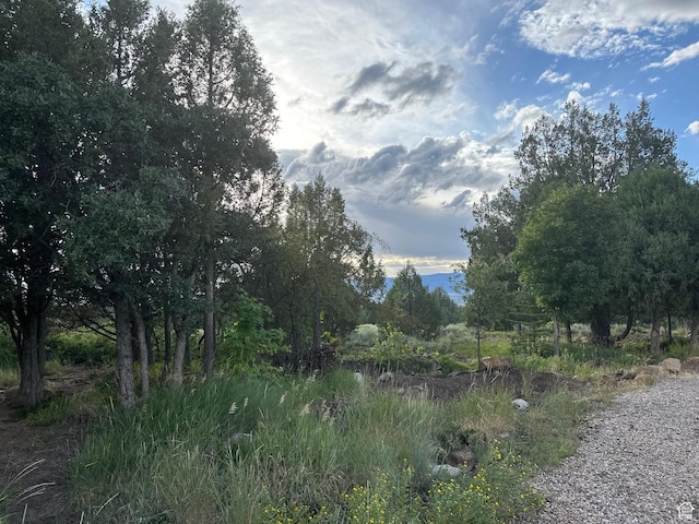 14775 N 12565 E 66&67, Mount Pleasant, UT 84647 - view of landscape
