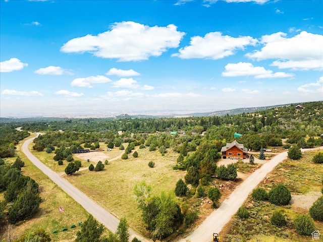14775 N 12565 E 66&67, Mount Pleasant, UT 84647 - drone / aerial view with a forest view