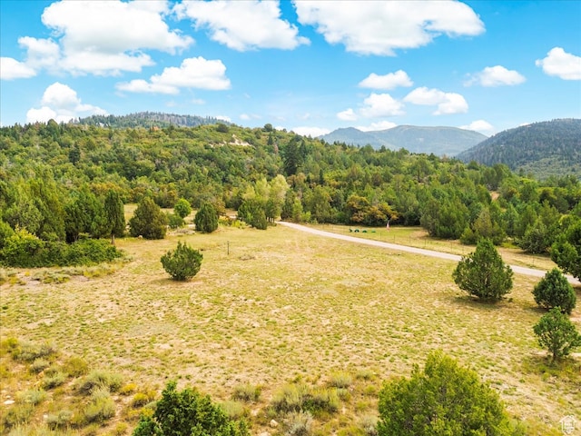 14775 N 12565 E 66&67, Mount Pleasant, UT 84647 - property view of mountains featuring a forest view