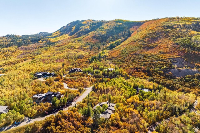 14 Canyon Ct, Park City, UT 84060 - photo 45