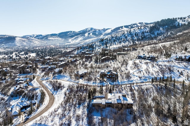 14 Canyon Ct, Park City, UT 84060 - photo 56