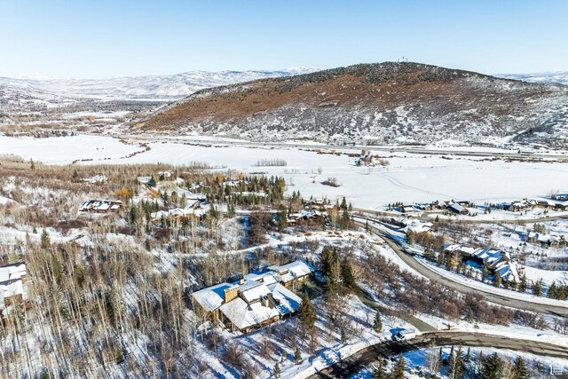 14 Canyon Ct, Park City, UT 84060 - photo 60