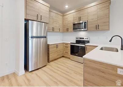 1125 W 250 S Unit 3, American Fork, UT 84003 - photo 12