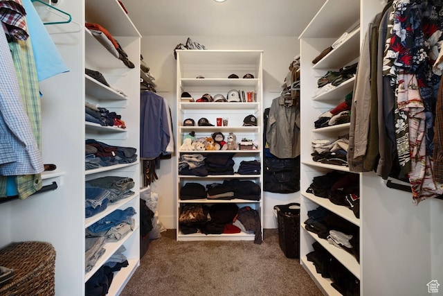 1806 S Summit Haven Dr Unit 1, Francis, UT 84036 - walk in closet with carpet