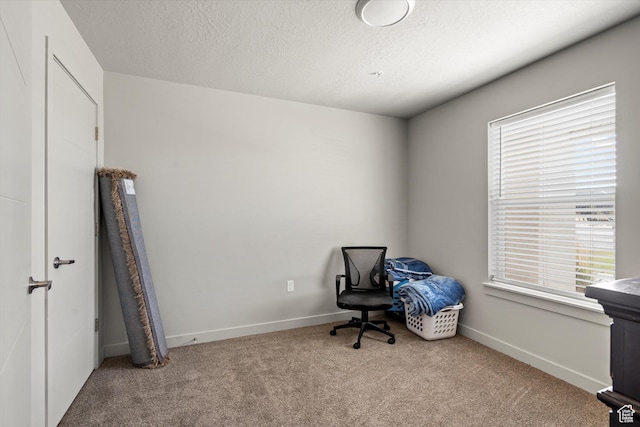 miscellaneous room with a textured ceiling, carpet flooring, and baseboards