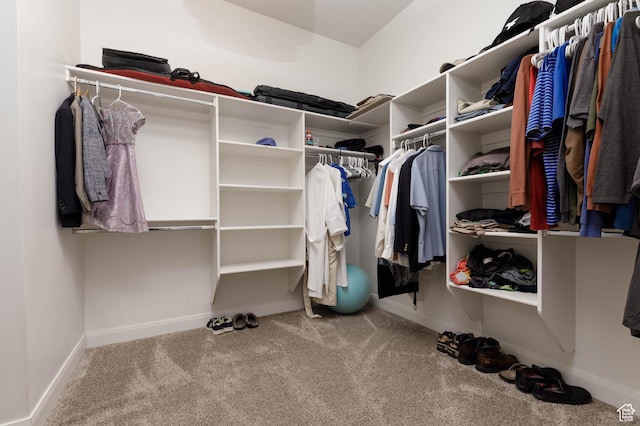 3318 S Red Rock Way, Hurricane, UT 84737 - spacious closet with carpet