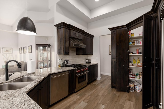 3318 S Red Rock Way, Hurricane, UT 84737 - kitchen with decorative backsplash, light wood finished floors, stainless steel appliances, under cabinet range hood, and a sink
