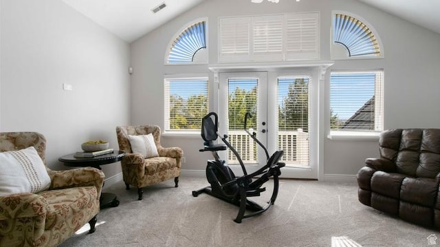 643 W Ridgewood Cir, Farmington, UT 84025 - workout room featuring baseboards, visible vents, carpet floors, and a healthy amount of sunlight