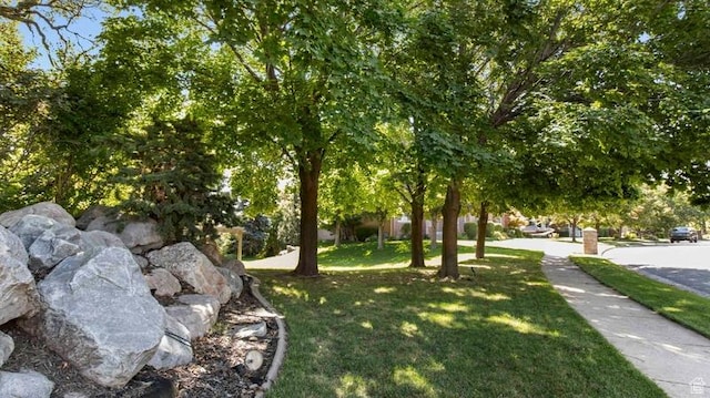 643 W Ridgewood Cir, Farmington, UT 84025 - view of property's community with a lawn