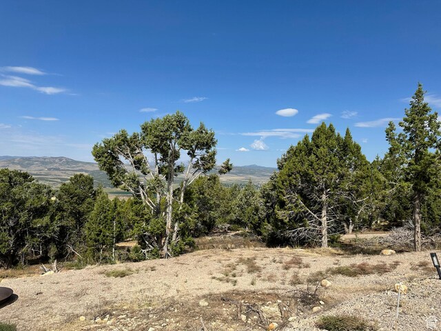 22230 Cedar Crest Dr, Mount Pleasant, UT 84647