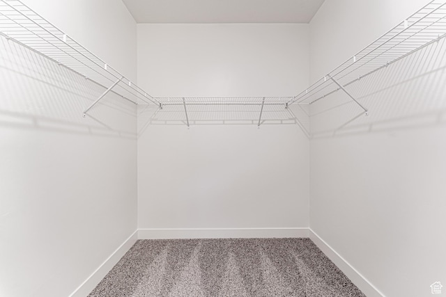 4718 W Neill Ln Unit Mm303, Riverton, UT 84096 - spacious closet with carpet floors