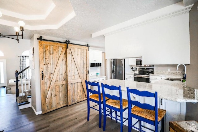 kitchen with a sink, a peninsula, a barn door, and stainless steel appliances