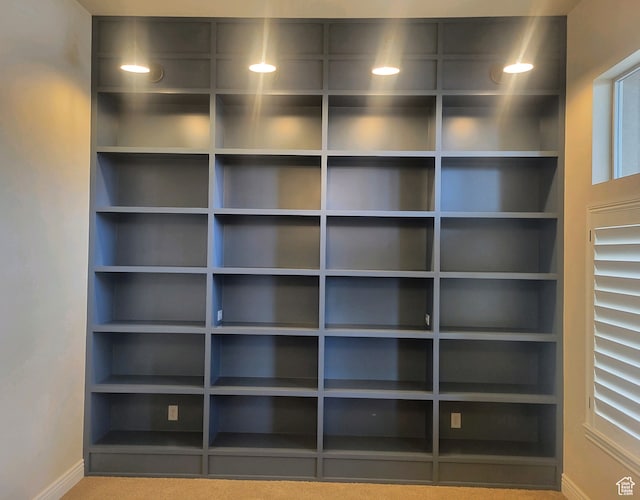 2580 E 279 S, Spanish Fork, UT 84660 - view of closet
