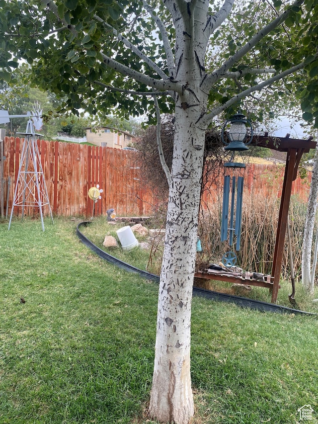 4310 S 2675 W, Roy, UT 84067 - view of yard