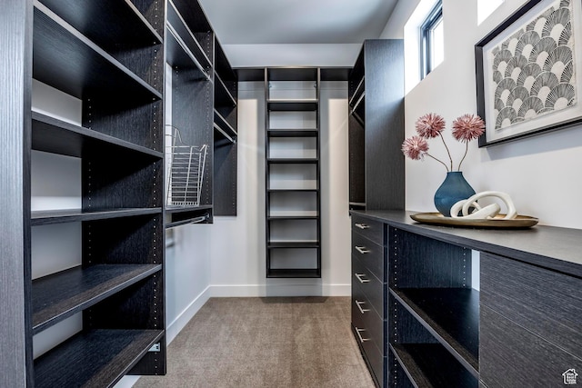 656 N E Capitol St, Salt Lake City, UT 84103 - walk in closet with carpet flooring