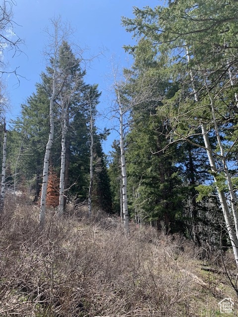 550 Red Fir Way, Oakley, UT 84055