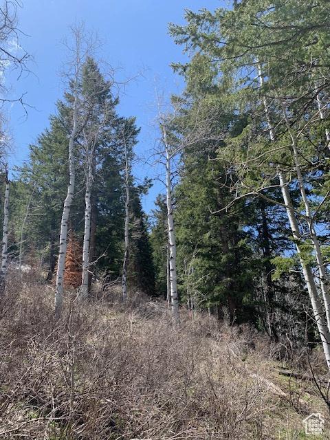 550 Red Fir Way, Oakley, UT 84055