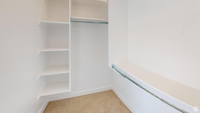 view of closet