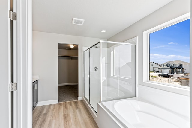 1749 S Sageberry Dr Unit 350, Santaquin, UT 84655 - full bath with wood finished floors, a shower stall, a bath, a spacious closet, and vanity