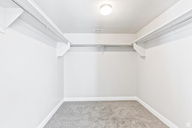 1749 S Sageberry Dr Unit 350, Santaquin, UT 84655 - spacious closet with carpet floors