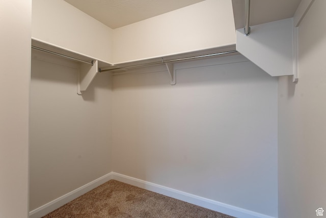 1641 S Windsong Dr Unit 371, Santaquin, UT 84655 - spacious closet with carpet