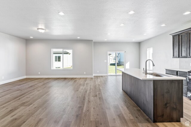 1781 S Windsong Dr Unit 384, Santaquin, UT 84655 - kitchen featuring a sink, healthy amount of natural light, light wood finished floors, light countertops, and recessed lighting