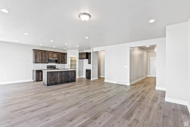 1781 S Windsong Dr Unit 384, Santaquin, UT 84655 - kitchen with open floor plan, stainless steel appliances, a center island with sink, light wood-type flooring, and dark brown cabinetry
