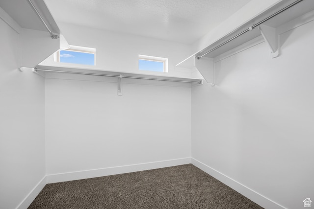 1757 S Windsong Dr Unit 382, Santaquin, UT 84655 - photo 9
