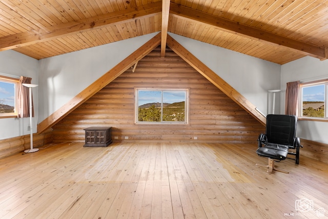 4245 S Artifact Dr, Cedar City, UT 84720 - additional living space featuring hardwood / wood-style floors and plenty of natural light