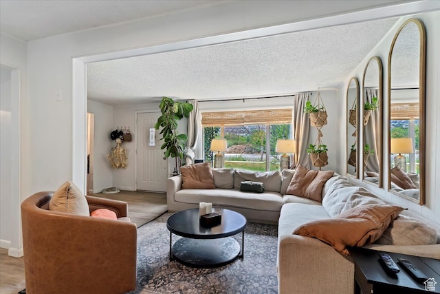 living room with wood-type flooring and a textured ceiling
