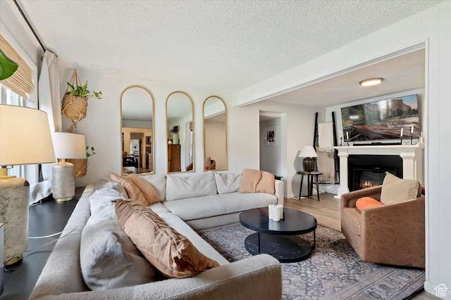 living room featuring hardwood / wood-style flooring and a textured ceiling