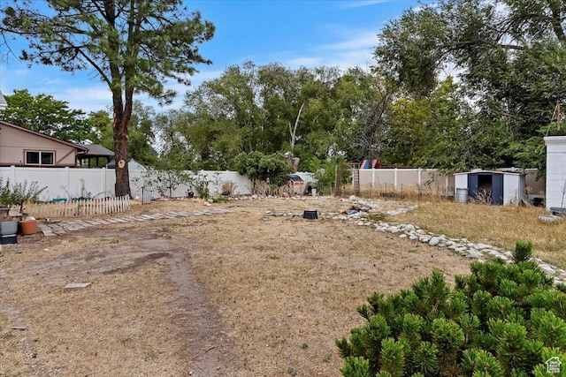 view of yard with a shed