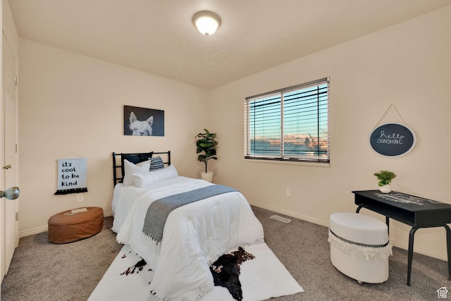 1052 S 350 E, Payson, UT 84651 - carpeted bedroom with baseboards