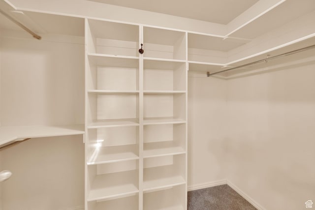 1052 S 350 E, Payson, UT 84651 - spacious closet with carpet