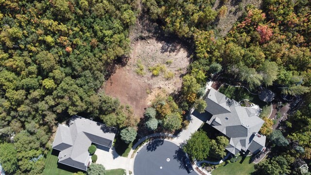 672 Skyview Cir N, Salt Lake, UT 84054 - bird's eye view
