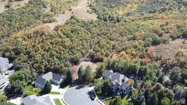 672 Skyview Cir N, Salt Lake, UT 84054 - bird's eye view